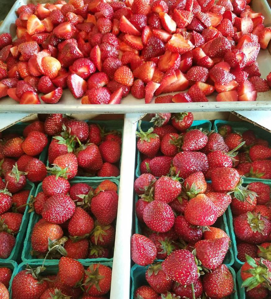 Fresh & Frozen Strawberry - Image 2