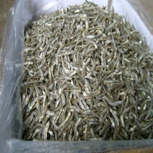 Dried Anchovy
