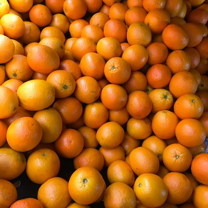 Fresh Oranges - Image 2