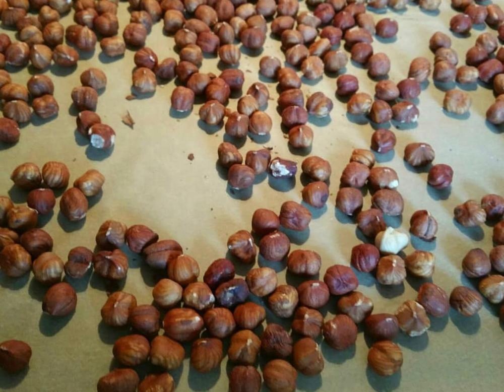 Hazelnuts