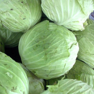 Cabbages