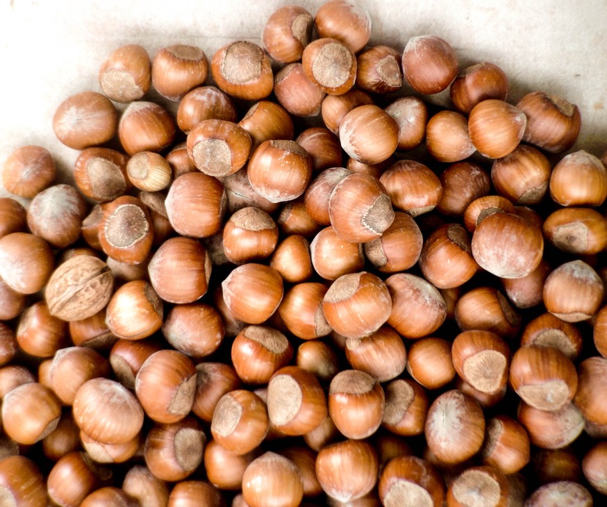 Hazelnuts - Image 2