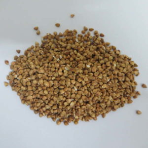 Buckwheat