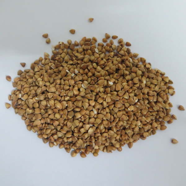 Buckwheat