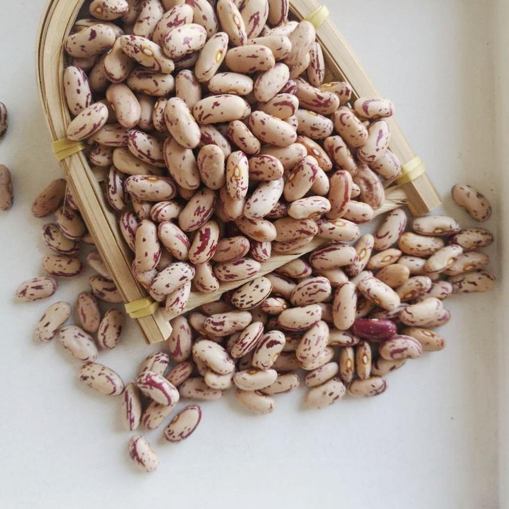 Sugar Beans - Image 2