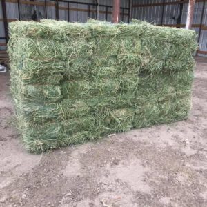 Alfalfa Hay