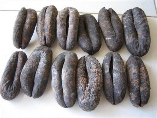 Dried Sea Cucumber