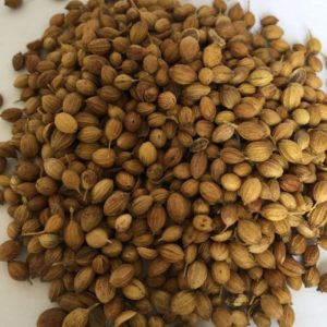 Coriander