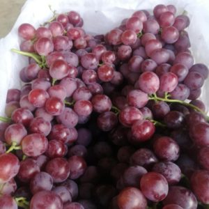Grapes